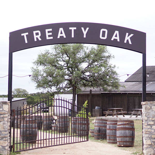 Treaty Oak rustic gate entry sign