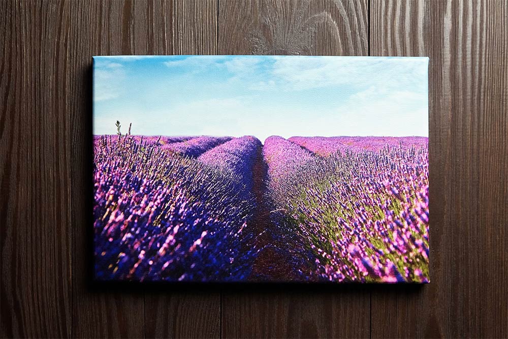 Printed canvas of flower field